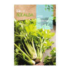 Apio Plein Blanc Pascal