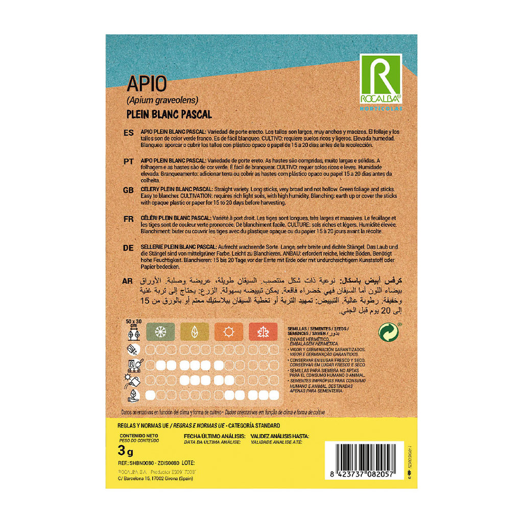 Apio Plein Blanc Pascal