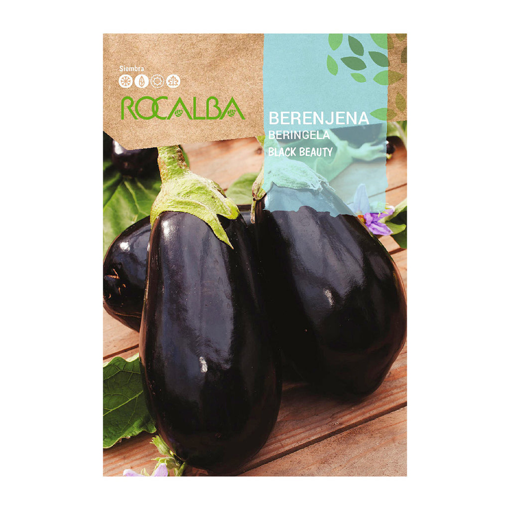 Berenjena Black Beauty