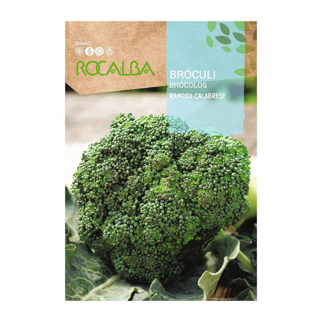 Brócoli Ramoso Calabrese