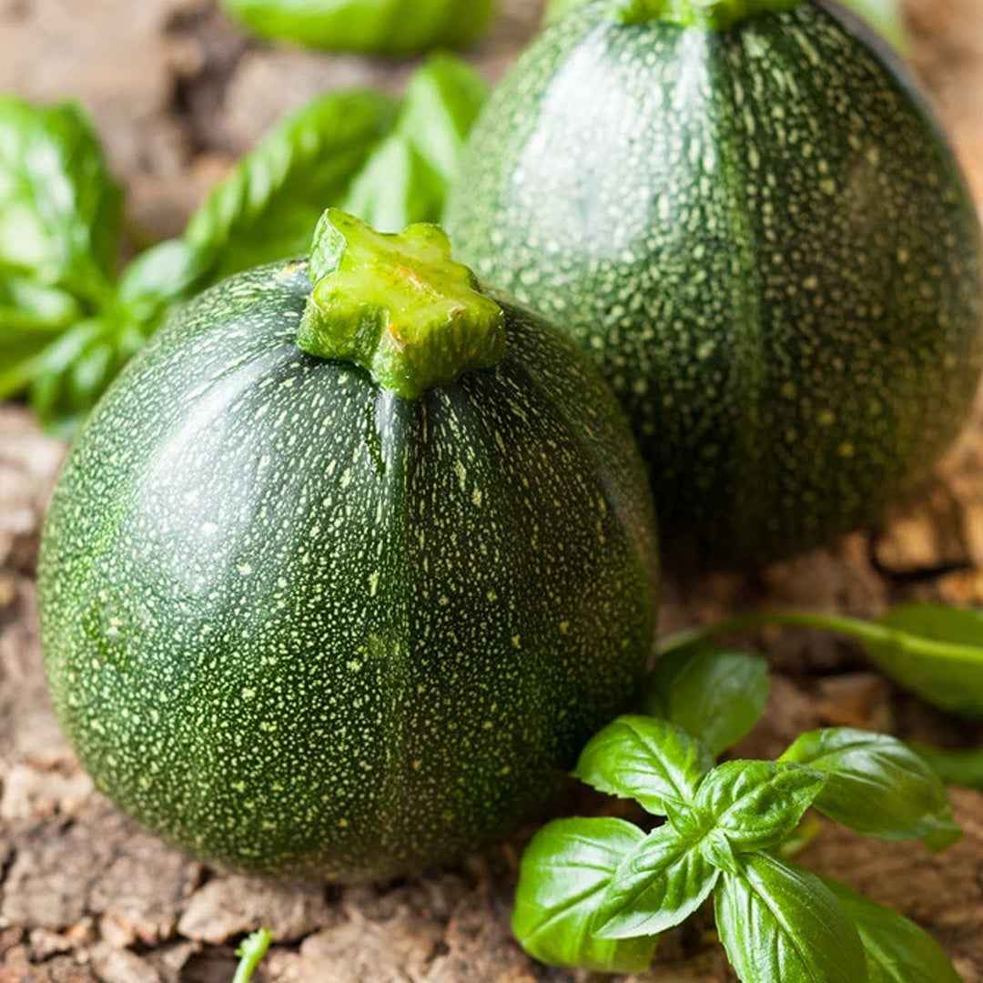 Calabacín Redondo de Niza