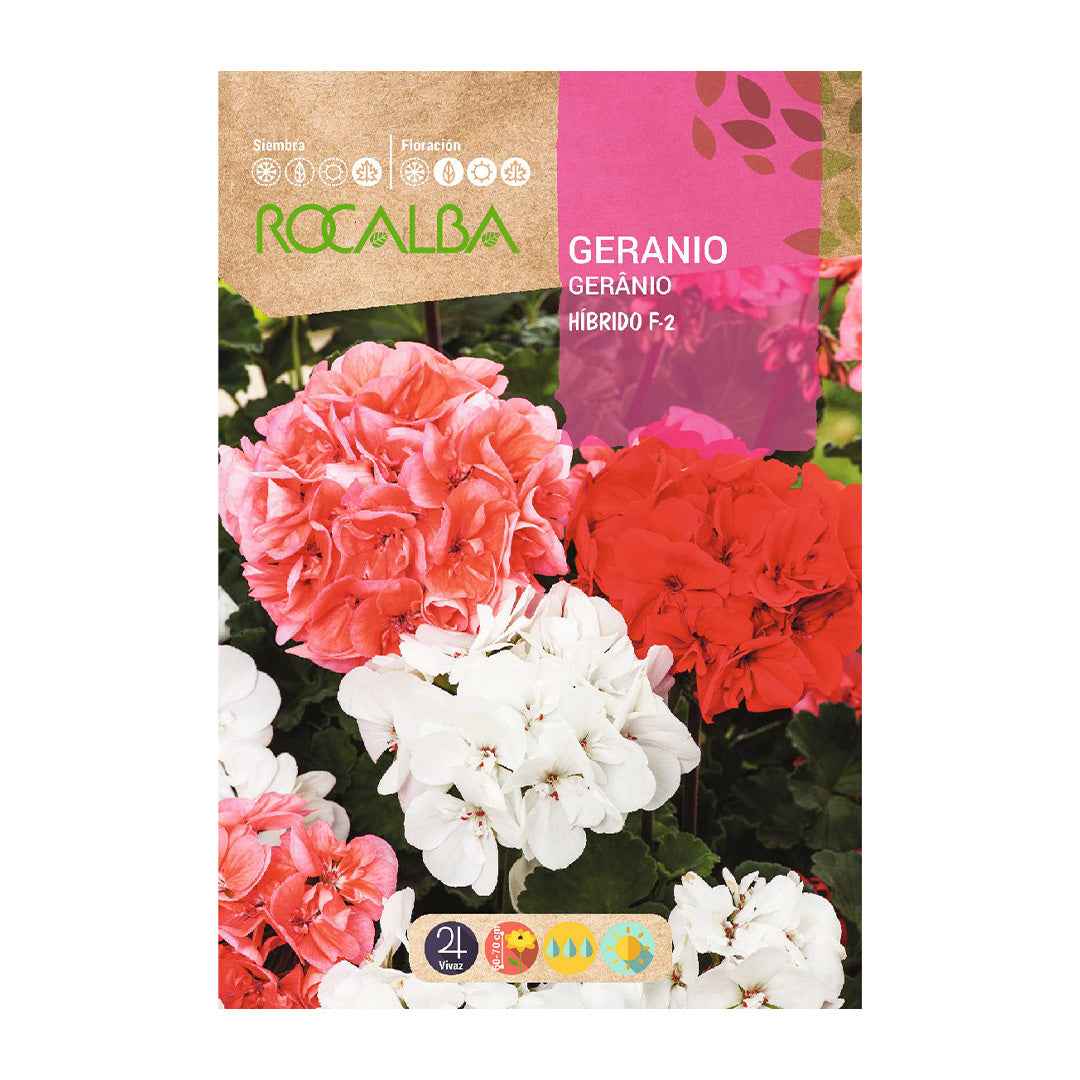 Geranio Híbrido F-2 Variado