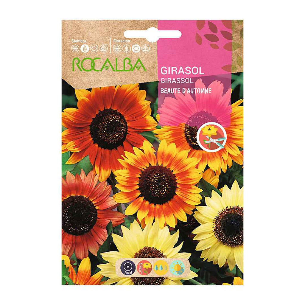 Girasol Beaute D'Automne Variado