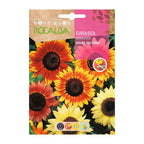 Girasol Beaute D'Automne Variado