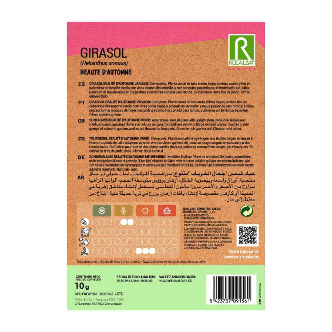 Girasol Beaute D'Automne Variado