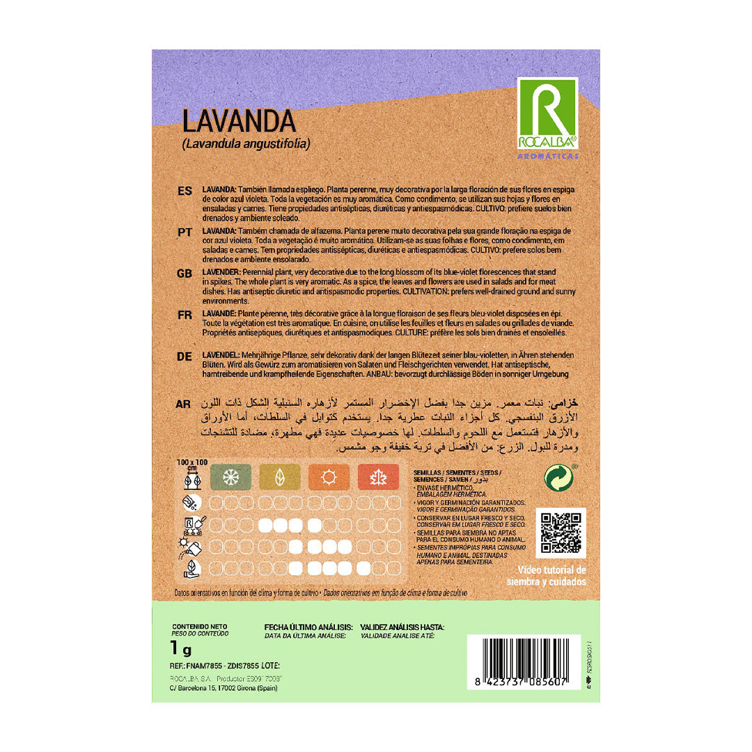 Lavanda