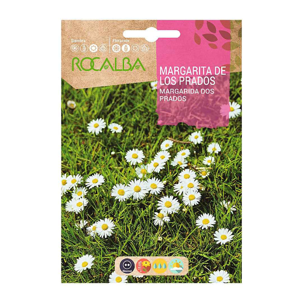 Margarita de los Prados