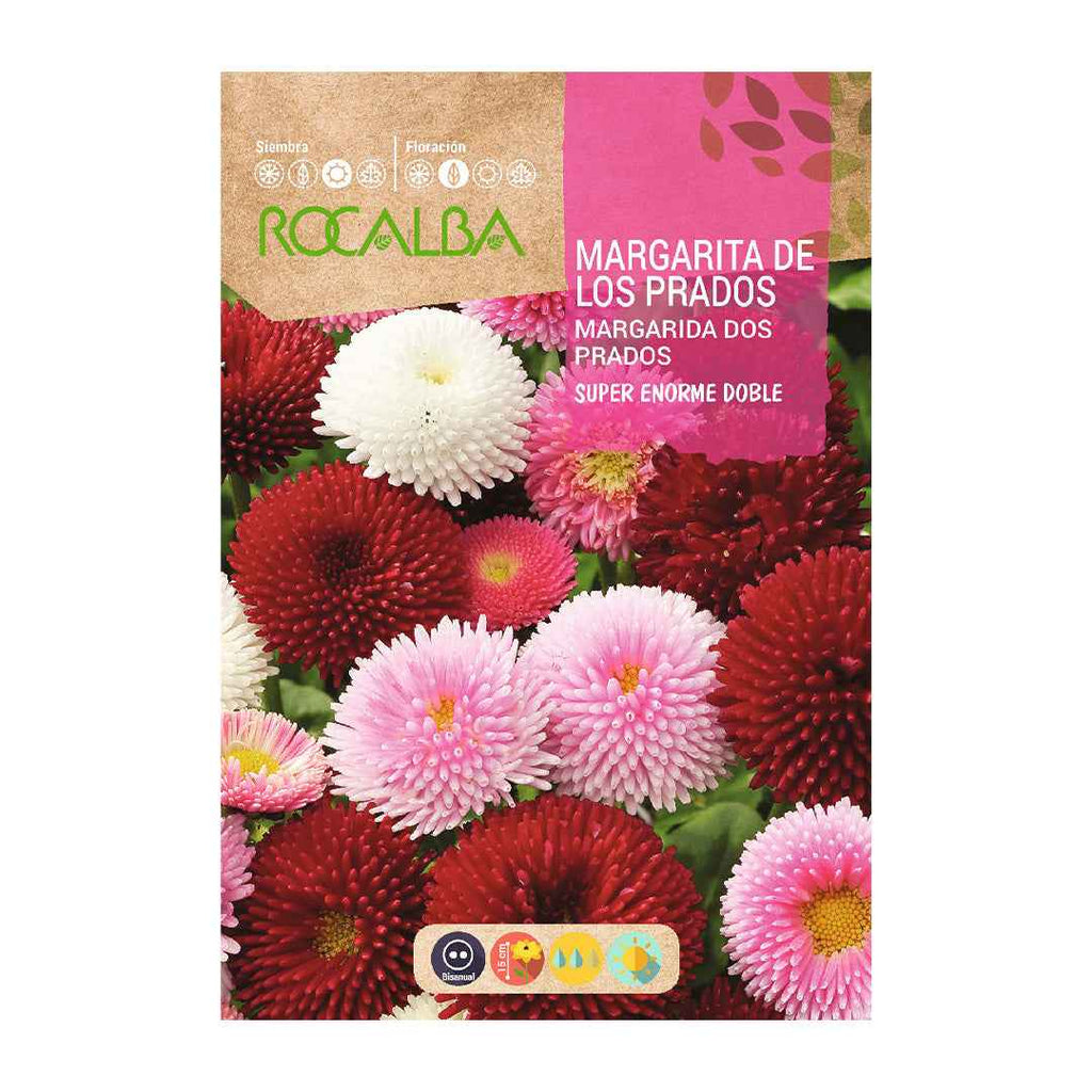 Margarita de los Prados Superenorme Doble Variada