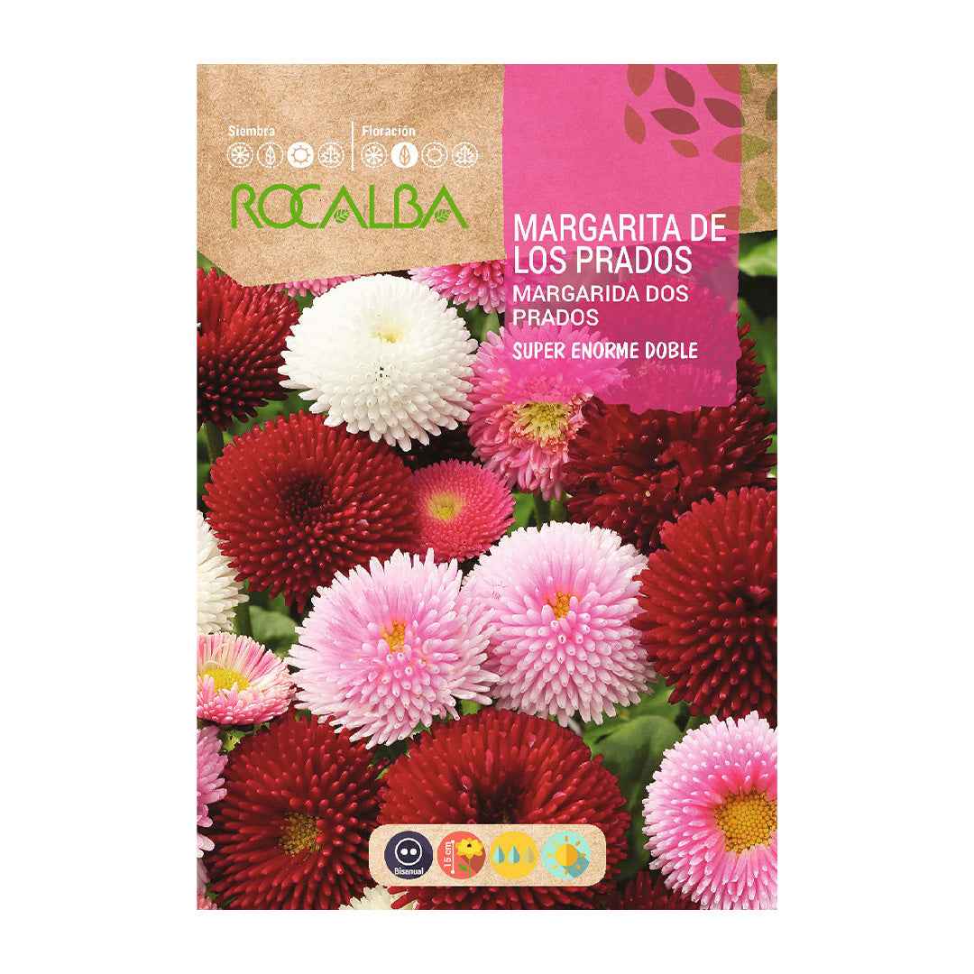 Margarita de los Prados Superenorme Doble Variada