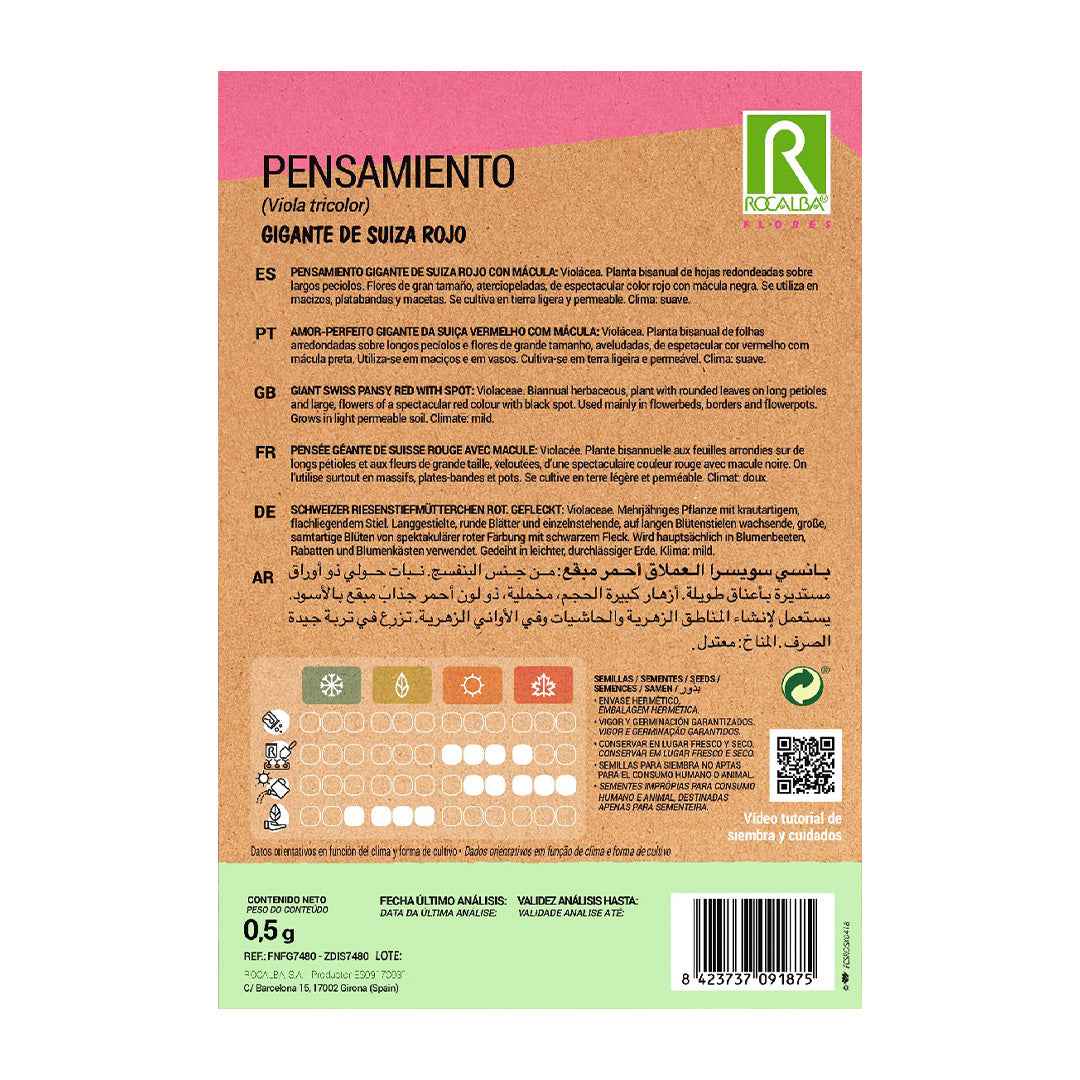 Pensamiento Gigante de Suiza Rojo