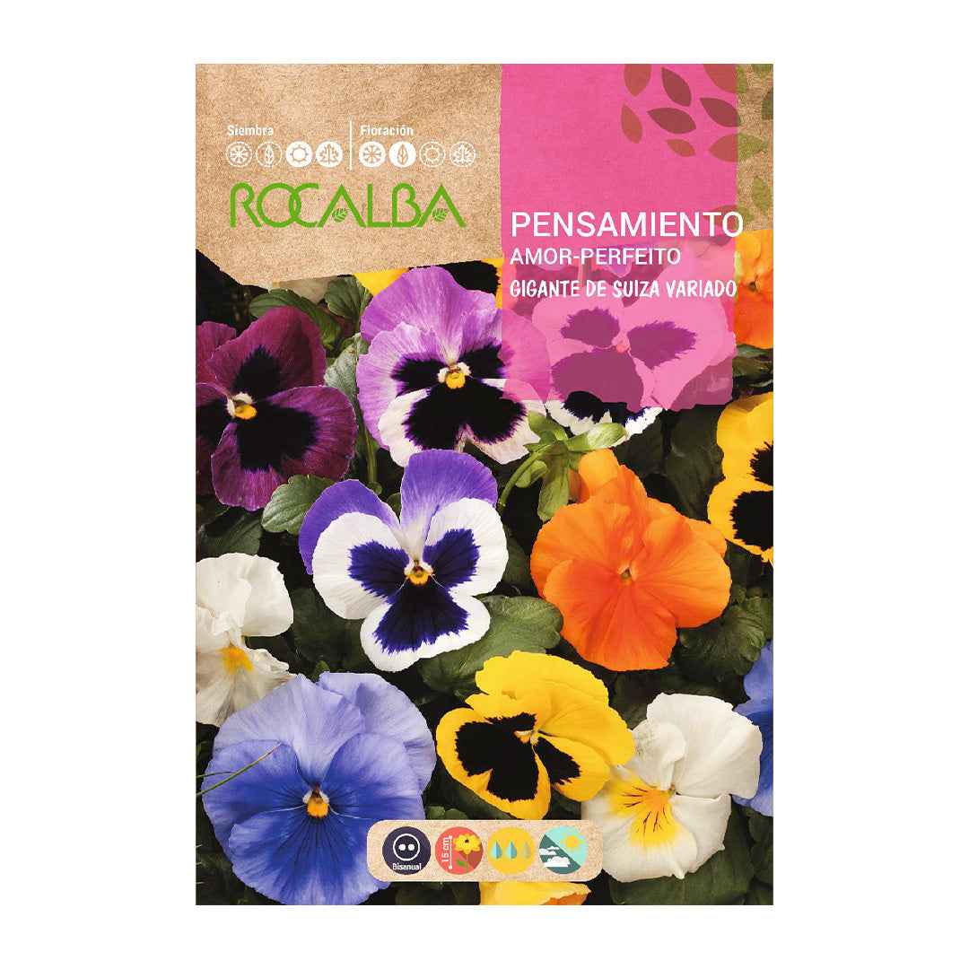 Pensamiento Gigante de Suiza Variado