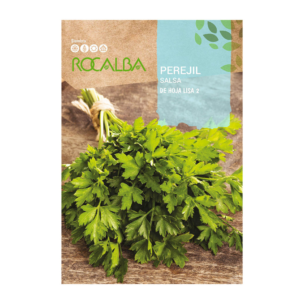 Perejíl de Hoja Lisa