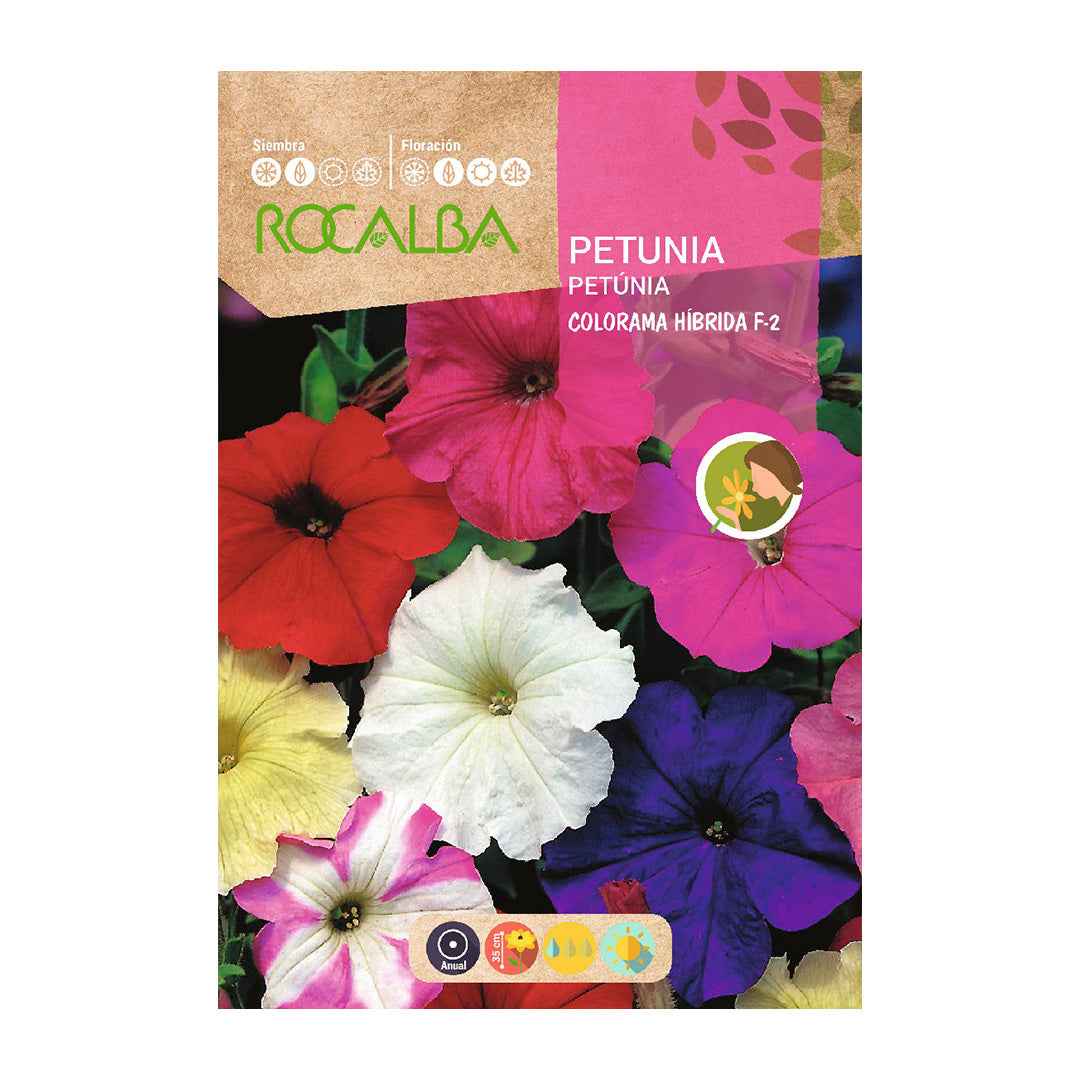Petunia Colorama Híbrida F-2 Variada