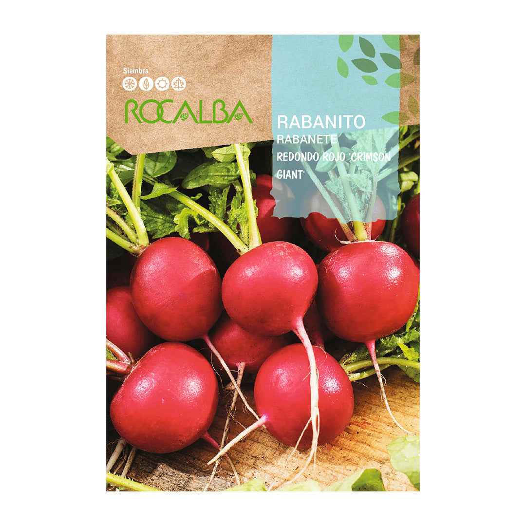 Rabanito Redondo Rojo Crimson Giant