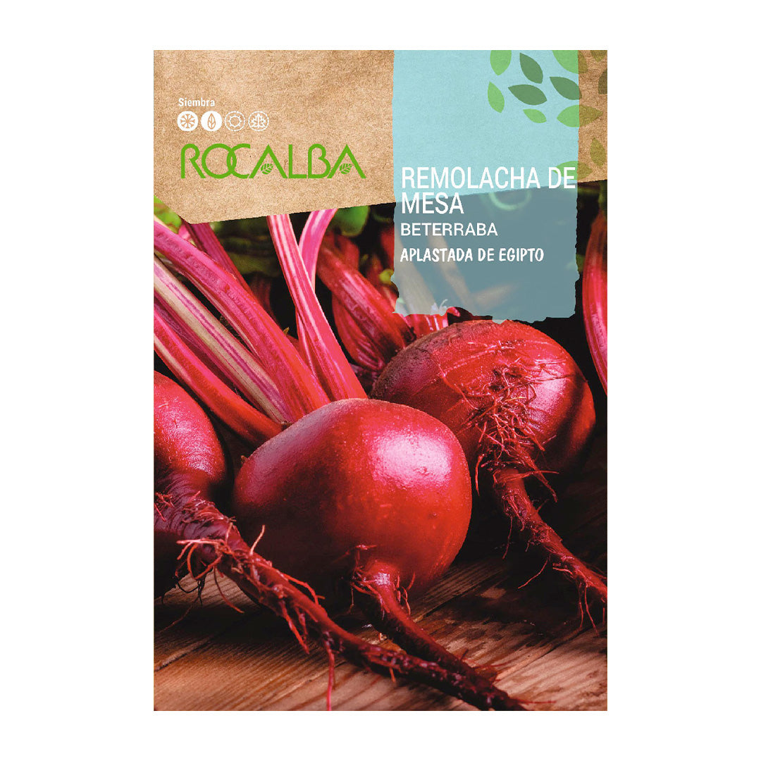 Remolacha de Mesa Aplastada de Egipto