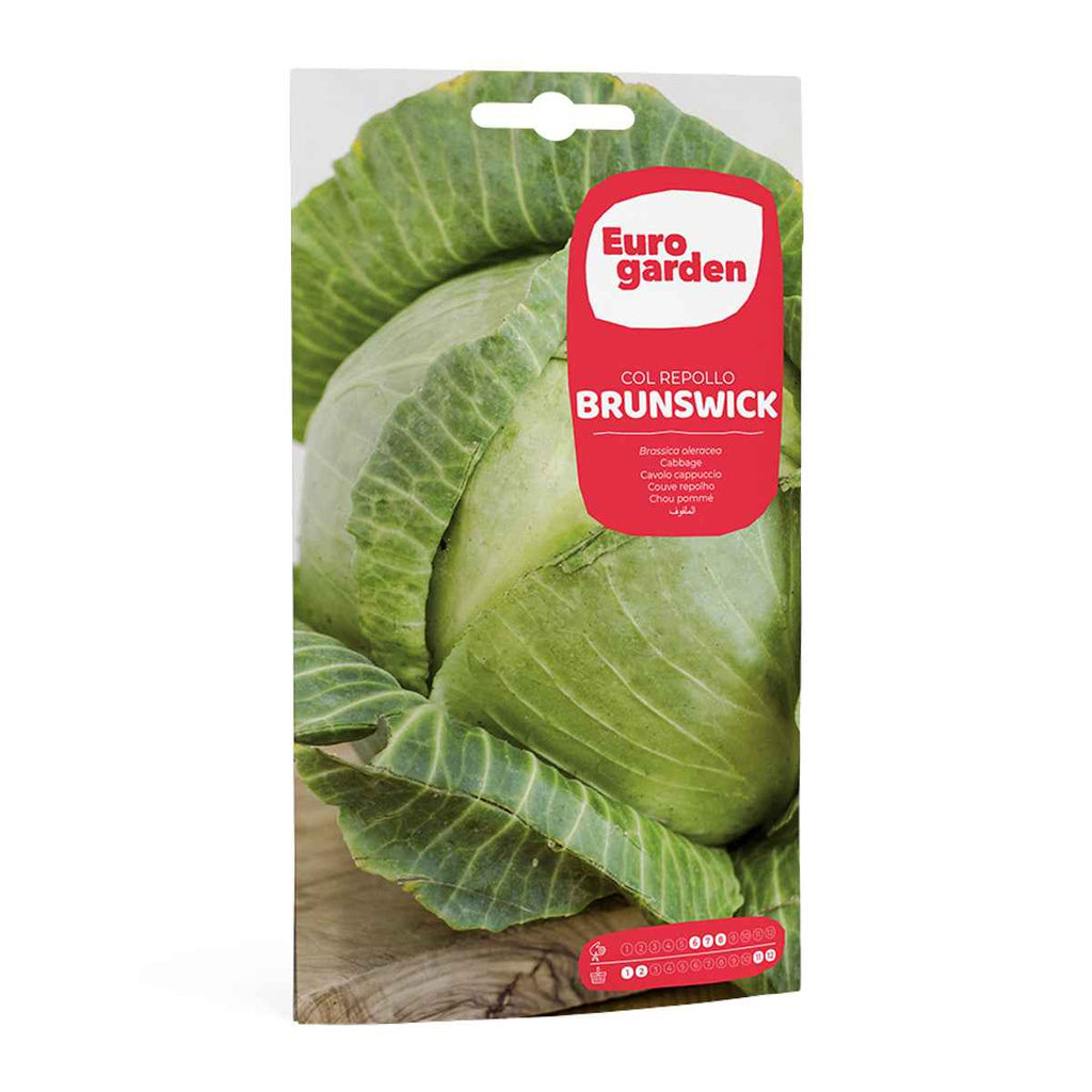 Col Repollo Brunswick