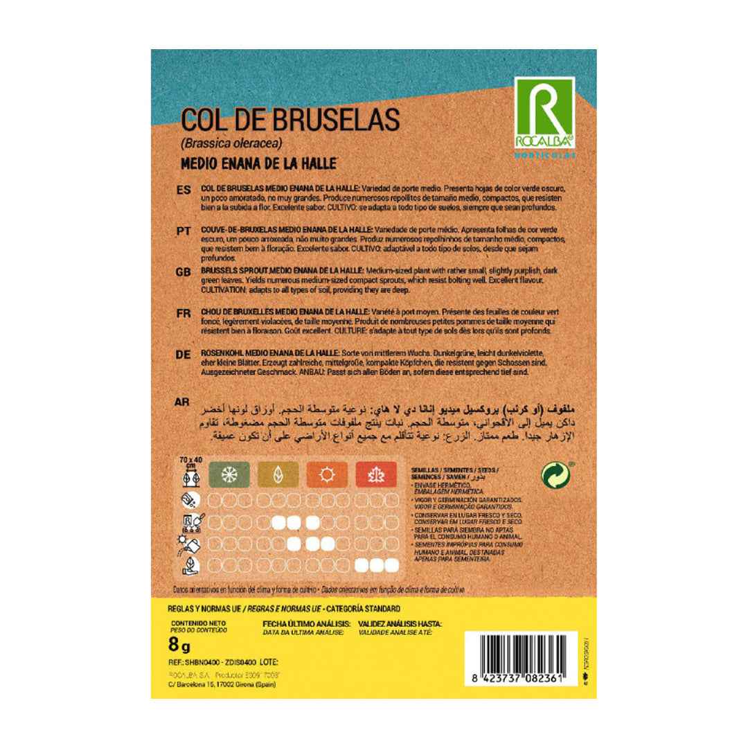 Col de Bruselas Medio Enana de la Halle