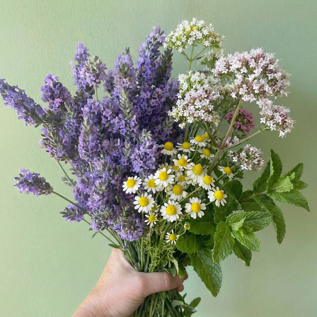 Bienestar y Calma Mix