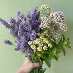 Bienestar y Calma Mix