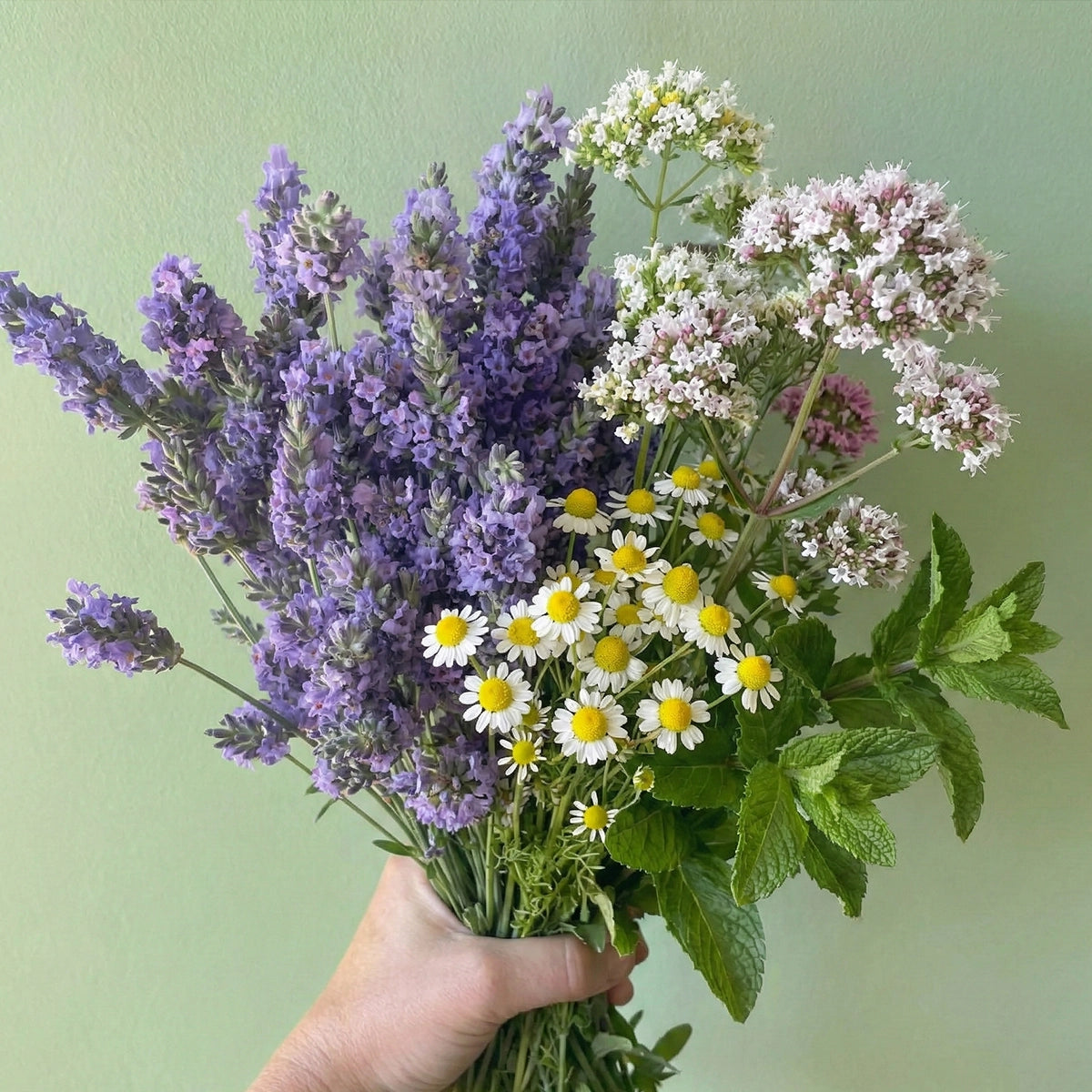 Bienestar y Calma Mix