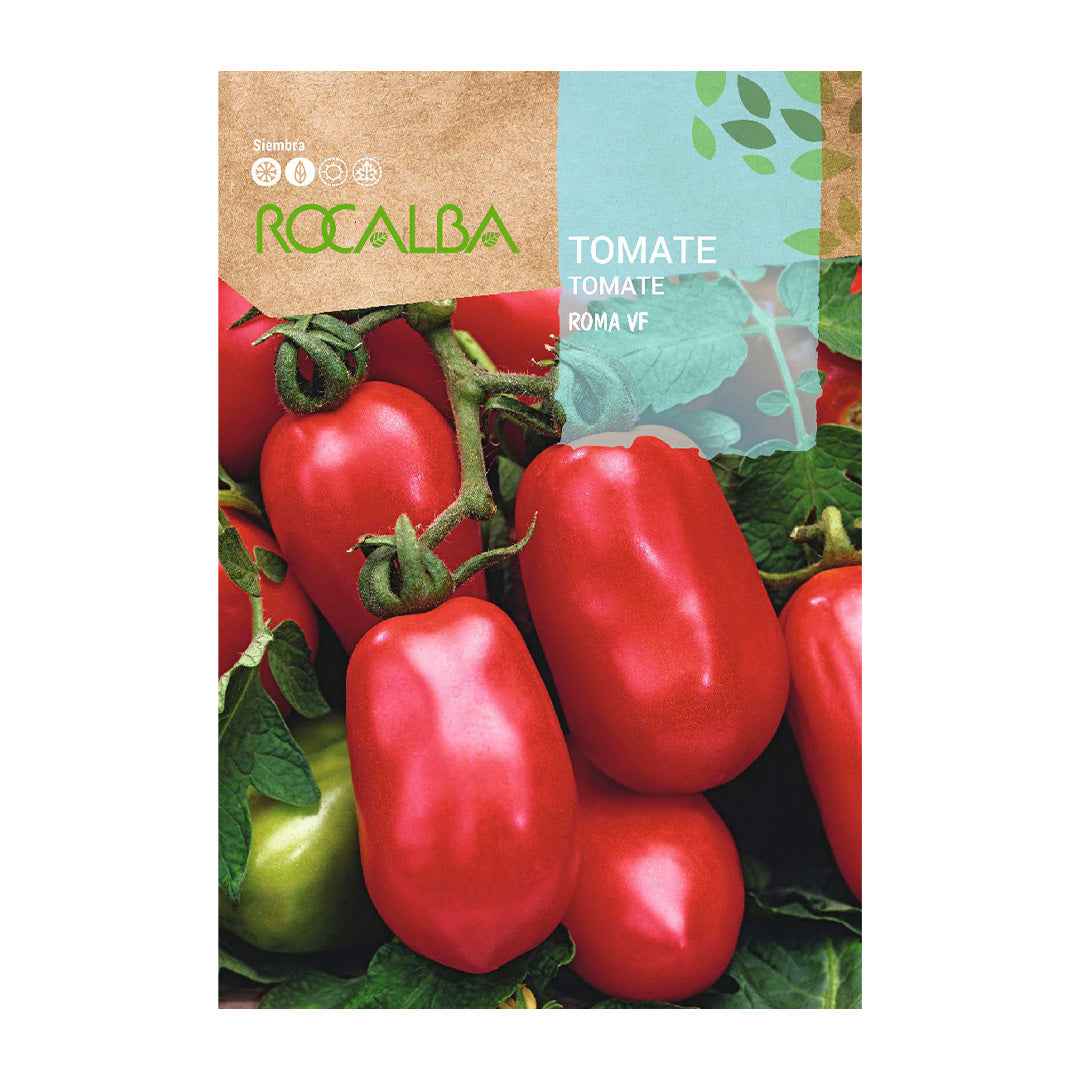 Tomate Roma VF