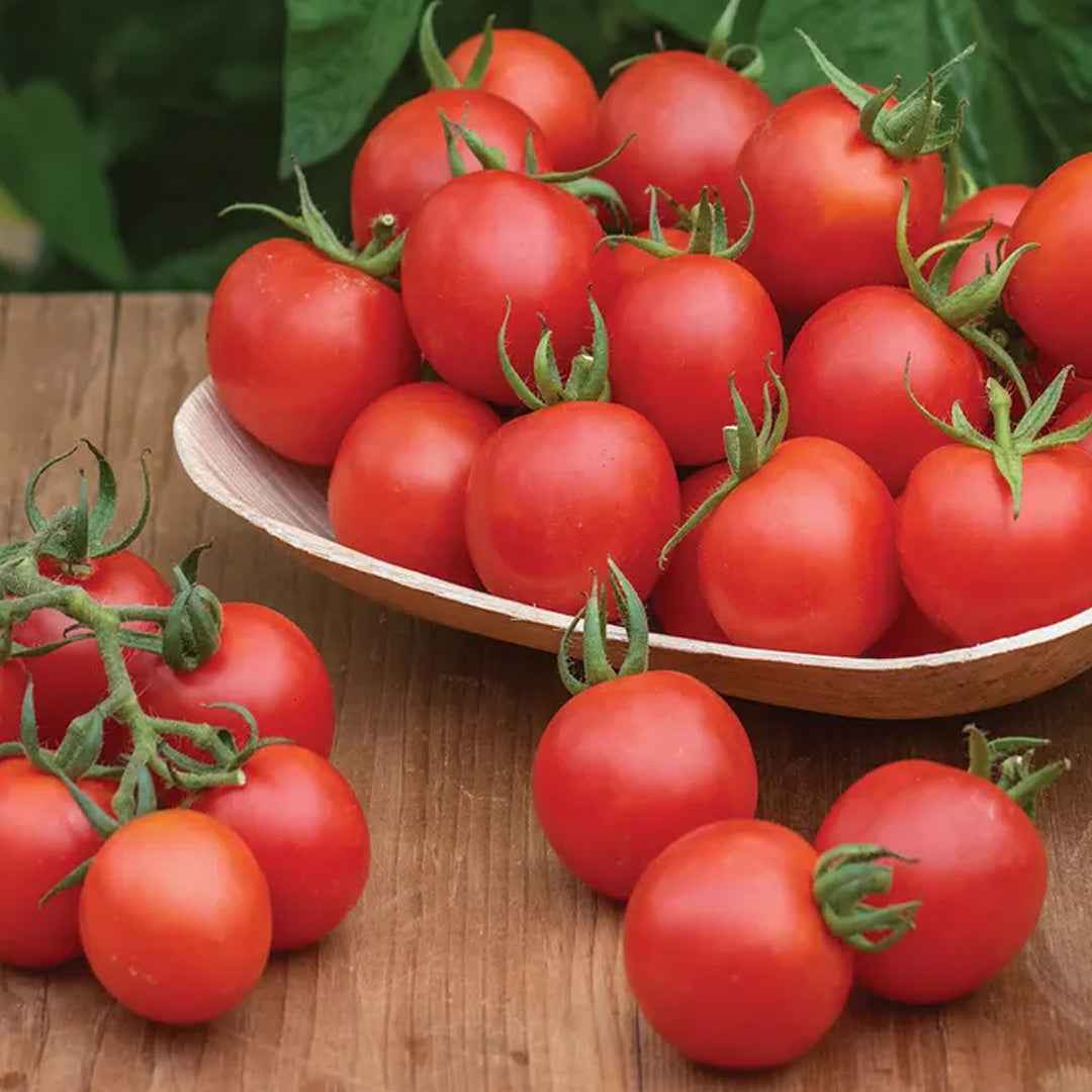 Tomate Cherry