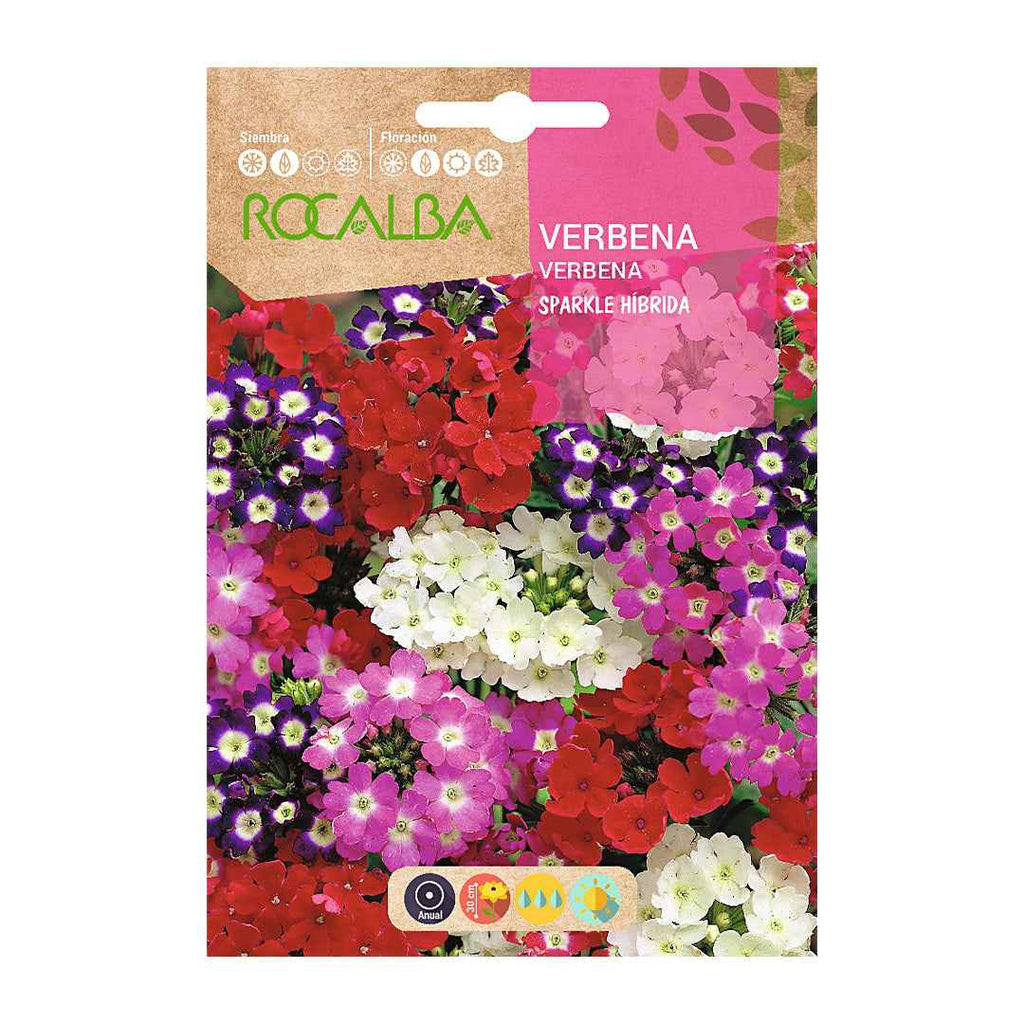 Verbena Sparkle Híbrida Variada