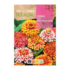 Zinia Gigante Bicolor Variada